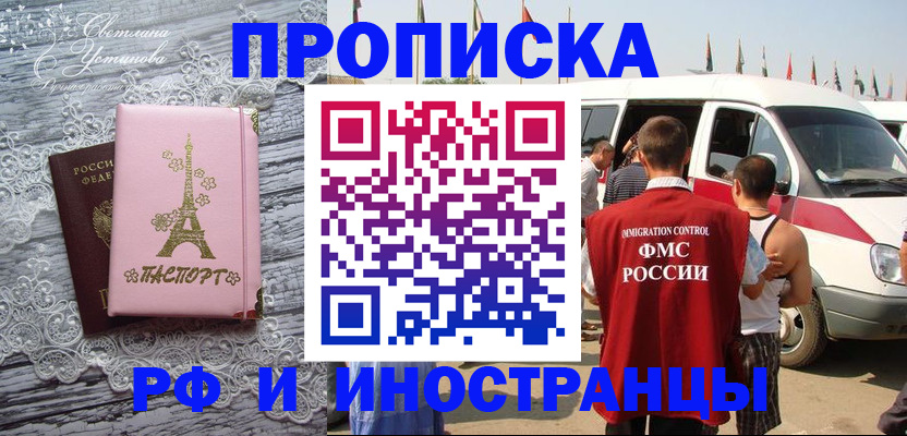 прописка поиск в Тынде